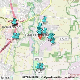 Mappa Strada Provinciale, 20875 Burago di Molgora MB, Italia (1.0125)