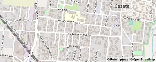 Mappa Cesate