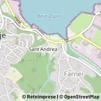 Peta Muggia