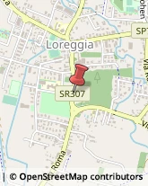 Via Aurelia, 2,35010Loreggia