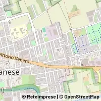 Carte Nova Milanese