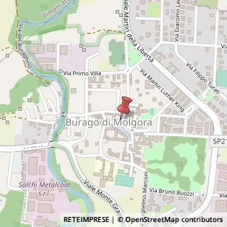 Mappa Via Don G. Minzoni, 3, 20875 Burago di Molgora, Monza e Brianza (Lombardia)