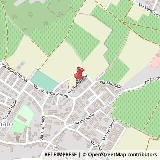 Mappa Via romanino 8, 25046 Cazzago San Martino, Brescia (Lombardia)