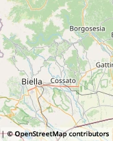 Erboristerie Biella,13900Biella