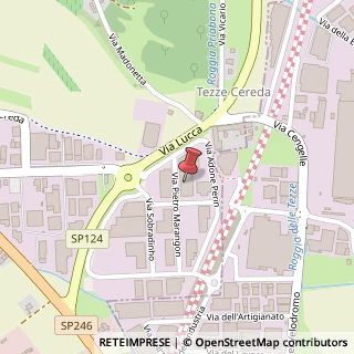 Mappa Via Mario Sbicego, 5, 36073 Cornedo Vicentino, Vicenza (Veneto)
