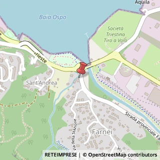 Mappa Strada Provinciale Farnei, 2, 34015 Muggia, Trieste (Friuli-Venezia Giulia)