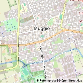 Mappa 20835