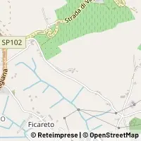 Mapa Siena