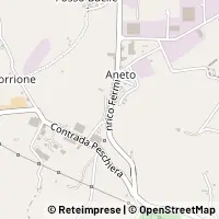 Peta Montelupone