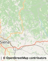 Aziende Agricole Siena,53100Siena