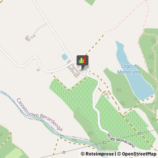 Feste - Organizzazione e Servizi Castelnuovo Berardenga,53019Siena