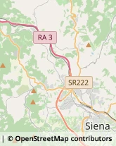 Giornalai Siena,53100Siena