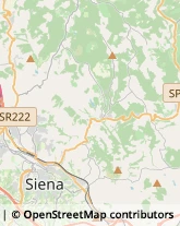 Legna da ardere Siena,53100Siena