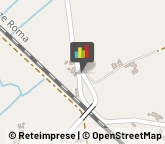 Capsule Arezzo,52100Arezzo