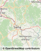 Alberghi Siena,53100Siena