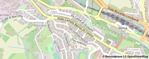 Mappa Siena