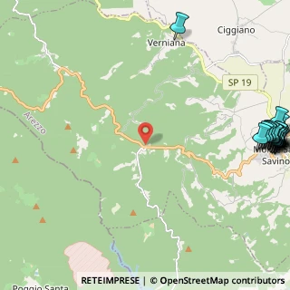 Mappa Localita' Dreini, 52048 Monte San Savino AR, Italia (3.791)