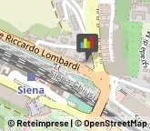 Idraulici e Lattonieri,53100Siena