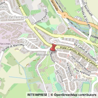 Mappa Via Mentana, 20, 53100 Siena, Siena (Toscana)