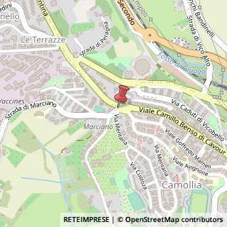 Mappa Viale Camillo Benso Conte di Cavour, 162, 53100 Siena, Siena (Toscana)