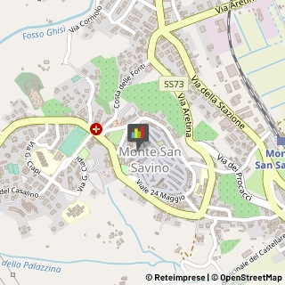 Vivai Piante e Fiori Torrita di Siena,52048Siena