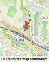 Via Lauro de Bosis, 24,53100Siena