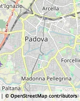 Ambulatori e Consultori Padova,35121Padova