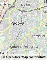 Legatorie Padova,35121Padova