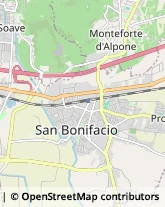 Autotrasporti San Bonifacio,37047Verona