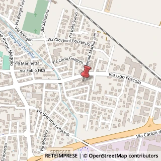 Mappa Via U. Foscolo, 20, 25016 Ghedi, Brescia (Lombardia)