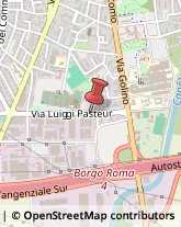 Via Luigi Pasteur, 12/A,37135Verona