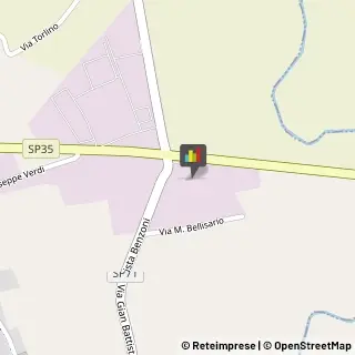 Animali Domestici - Vendita Palazzo Pignano,26020Cremona