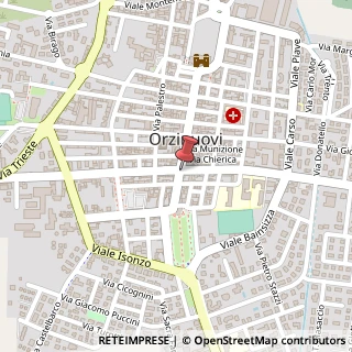Mappa Piazza Vittorio Emanuele II, 77, 25034 Orzinuovi, Brescia (Lombardia)