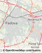 Ecografia e Radiologia - Studi Padova,35123Padova