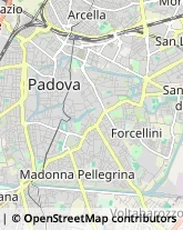 Alimentari Padova,35123Padova