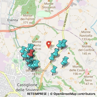 Mappa Via Ghisola, 46043 Castiglione delle Stiviere MN, Italia (0.98148)