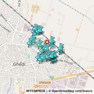 Mappa Via Italo Svevo, 25016 Ghedi BS, Italia (0.31333)