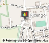 Autofficine e Centri Assistenza Ricengo,26010Cremona