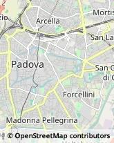 Articoli da Regalo - Dettaglio Padova,35131Padova