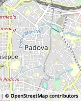 Rosticcerie e Salumerie Padova,35139Padova