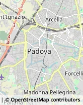 Rosticcerie e Salumerie Padova,35131Padova