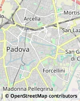 Occhiali - Produzione e Ingrosso Padova,35139Padova