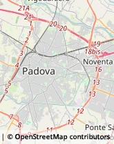 Articoli da Regalo - Dettaglio Padova,35131Padova