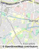 Articoli da Regalo - Dettaglio Padova,35137Padova