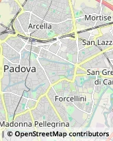 Articoli da Regalo - Dettaglio Padova,35122Padova