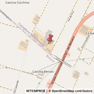Mappa Via Botteghino, 36, 46043 Castiglione delle Stiviere, Mantova (Lombardia)