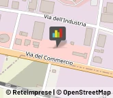 Animali Domestici - Vendita,37038Verona