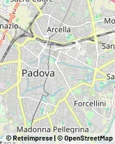 Scuole e Corsi di Lingua Padova,35123Padova