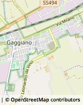 Aziende Agricole Gaggiano,20083Milano