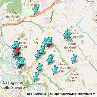 Mappa Via del Benaco, 46043 Castiglione delle Stiviere MN, Italia (1.13704)